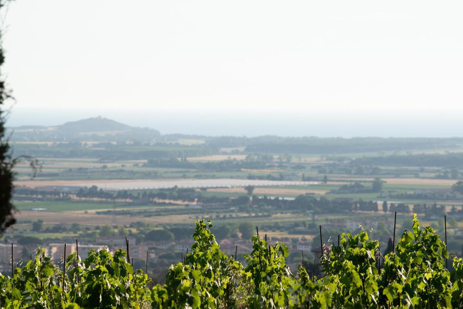 Castello Bonaria Wine & Spa Resort カンピーリア・マリッティマ エクステリア 写真