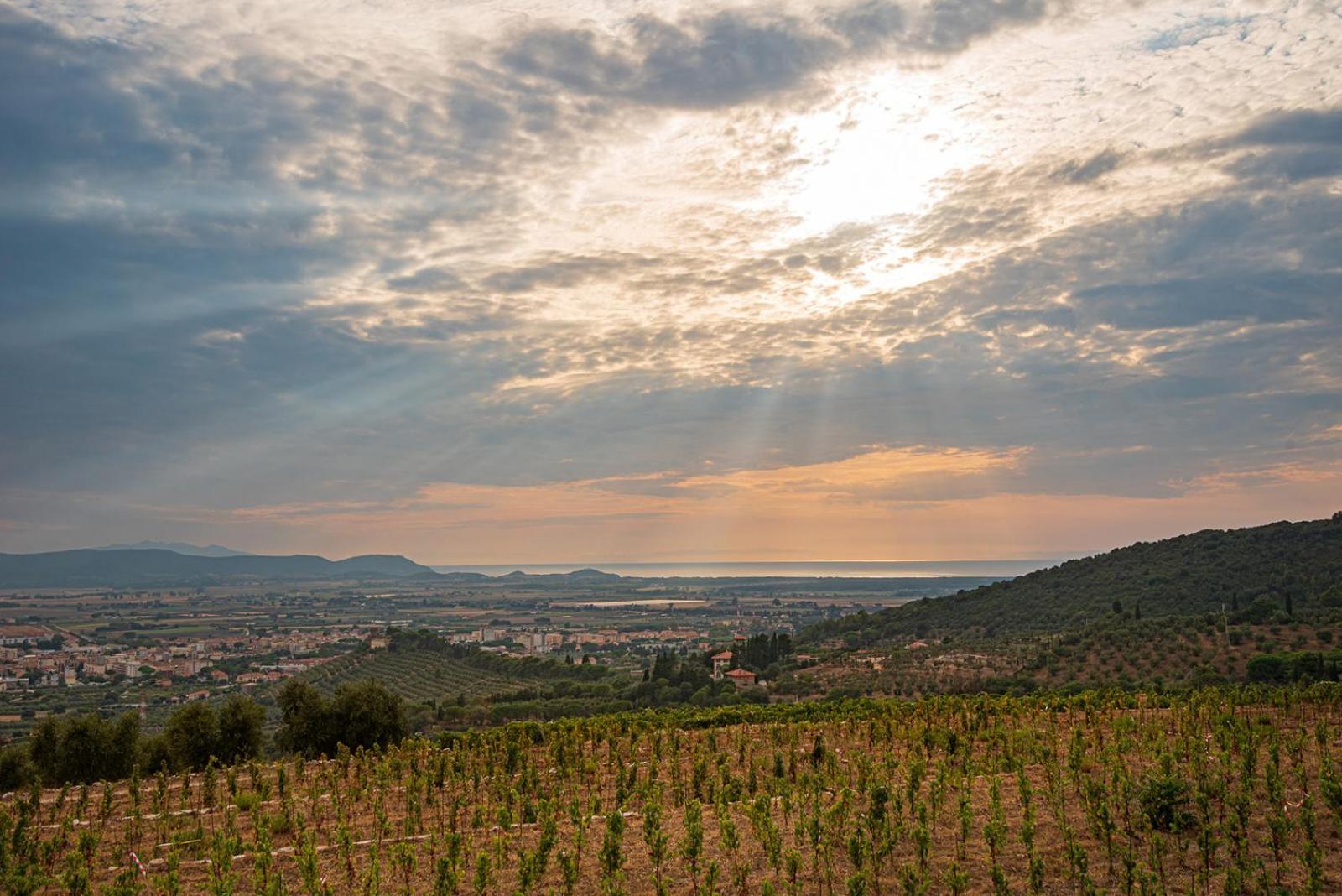 Castello Bonaria Wine & Spa Resort カンピーリア・マリッティマ エクステリア 写真